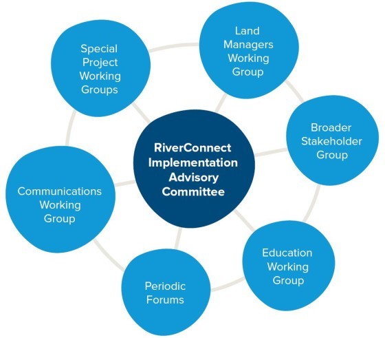 RiverConnect Governance Structure