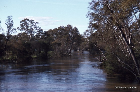 Goulburn_River_1975