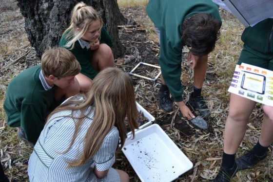 Big Dig Project - Gemmills Swamp 2014