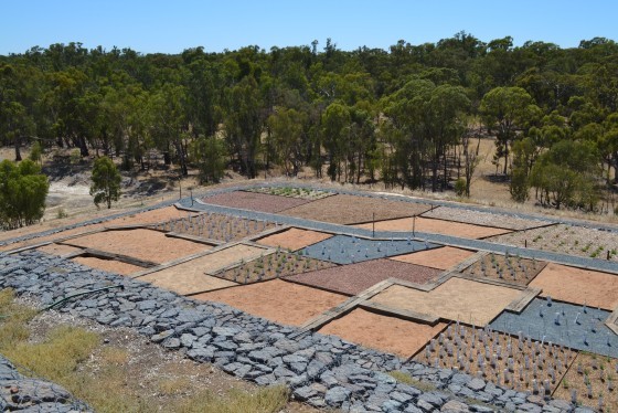 Australian Botanic Gardens Shepparton