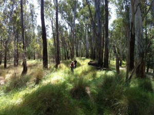 students riding in the bush - 2014