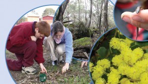 Shepparton Christian Community School Biodiversity Audit - October 2014