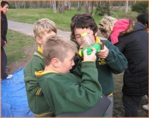 St Mels Biodiversity Buddy Day - 2010