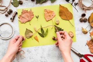 Nature Collaging