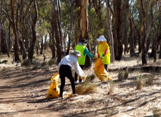 Clean up Australia Day