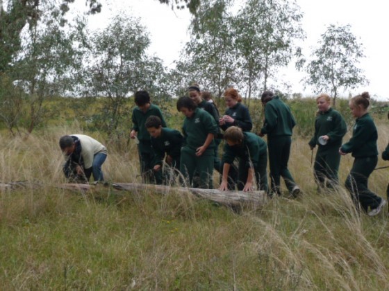 John Caldow, Bug Blitz and students searching for bugs