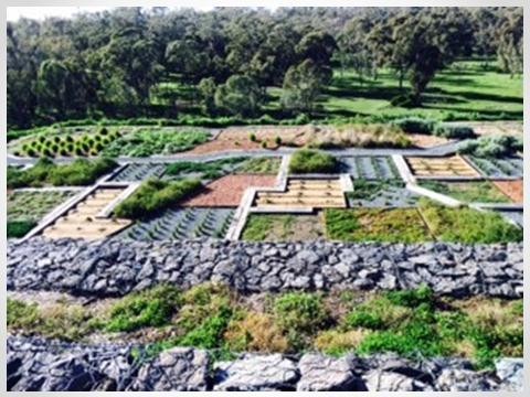 Australian Botanic Gardens Shepparton