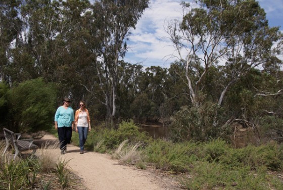 Cudgee Park