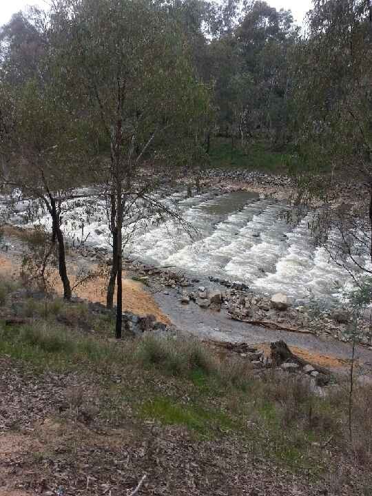 Goulburn River Fish Ladder at Shepparton