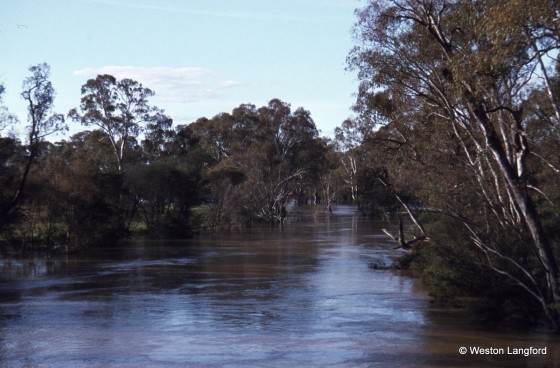 Goulburn River 1975